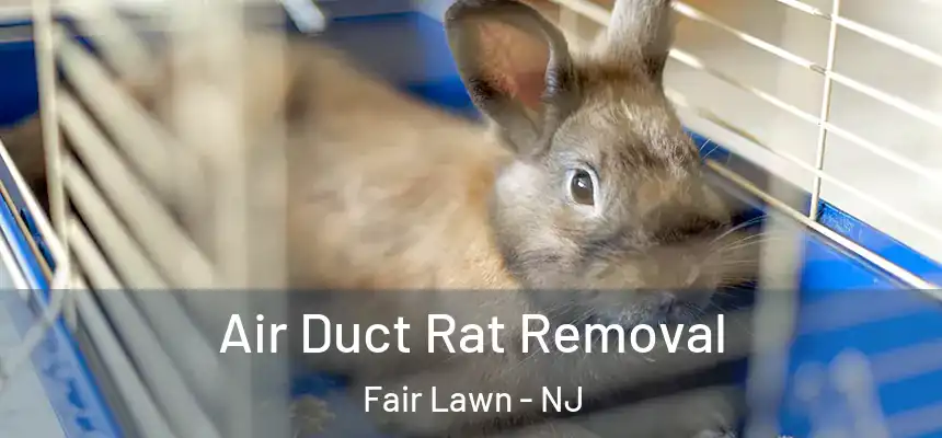  Air Duct Rat Removal Fair Lawn - NJ