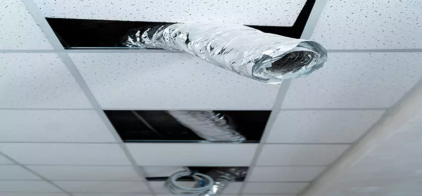 Our Air Duct Pet Hair Removal Services in Fair Lawn, NJ