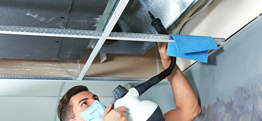 Our Air Duct Rodent Removal Services in Fair Lawn, NJ