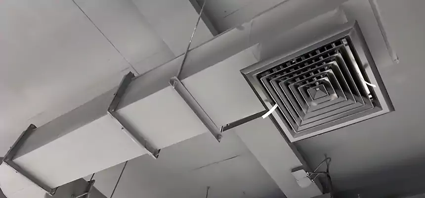 Our Pest Removal From Ducts Services in Fair Lawn, NJ